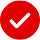 Red Check Icon